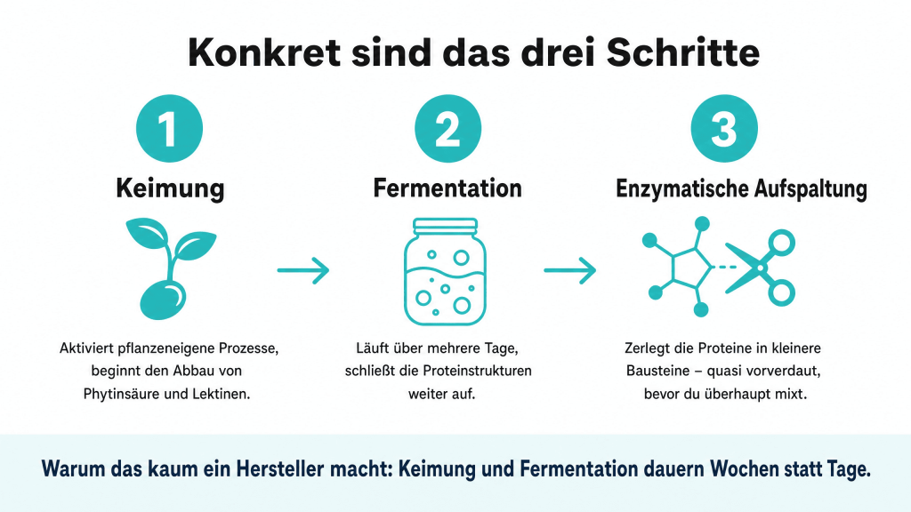 Grafik vom Fermentierungsprozess