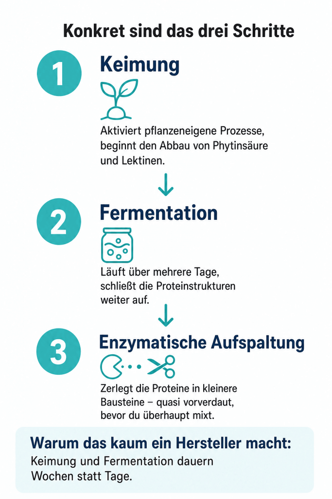 Grafik vom Fermentierungsprozess, mobile Ansicht
