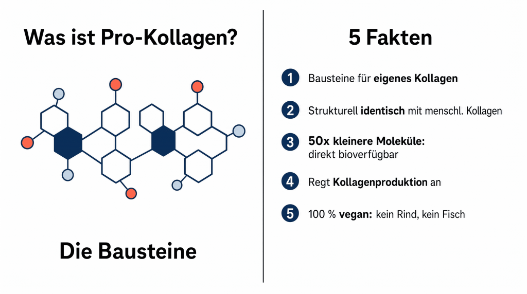 wissenschaftliche Grafik von Pro Collagen