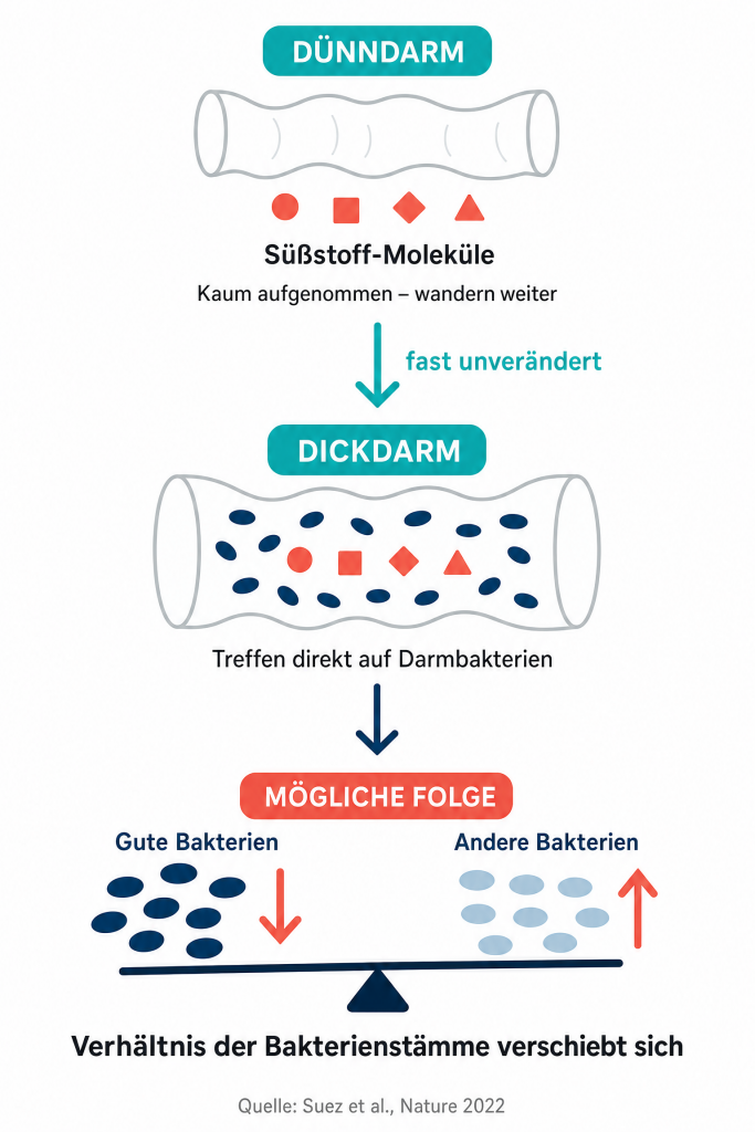 grafik süßstoffe im darm